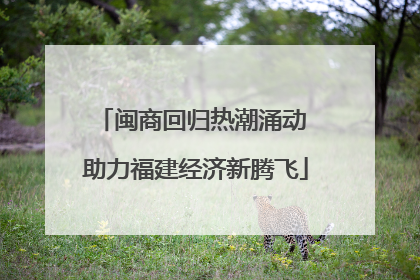 闽商回归热潮涌动 助力福建经济新腾飞