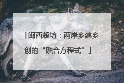 闽西赖坊：两岸乡建乡创的“融合方程式”