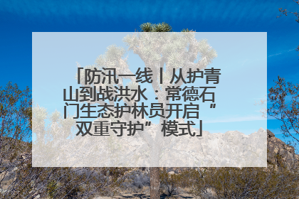防汛一线丨从护青山到战洪水：常德石门生态护林员开启“双重守护”模式