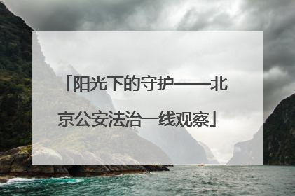 阳光下的守护——北京公安法治一线观察