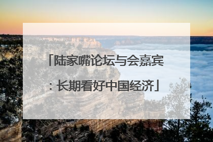 陆家嘴论坛与会嘉宾：长期看好中国经济