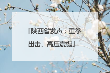 陕西省发声：重拳出击、高压震慑