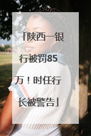陕西一银行被罚85万！时任行长被警告