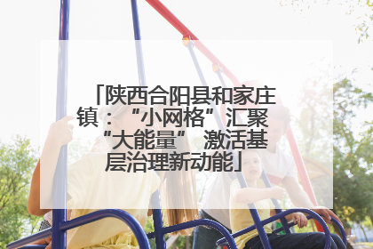 陕西合阳县和家庄镇：“小网格”汇聚“大能量” 激活基层治理新动能