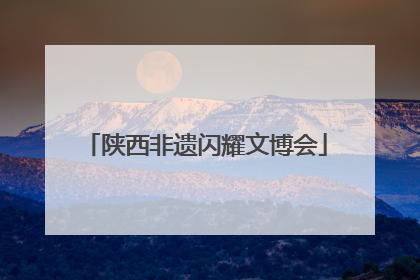 陕西非遗闪耀文博会