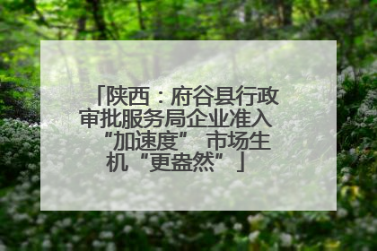 陕西：府谷县行政审批服务局企业准入“加速度” 市场生机“更盎然”