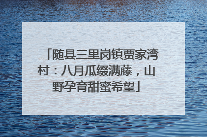 随县三里岗镇贾家湾村：八月瓜缀满藤，山野孕育甜蜜希望