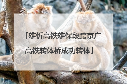 雄忻高铁雄保段跨京广高铁转体桥成功转体