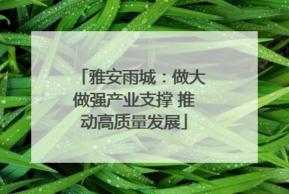 雅安雨城：做大做强产业支撑 推动高质量发展