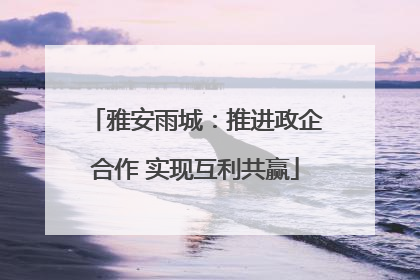雅安雨城：推进政企合作 实现互利共赢