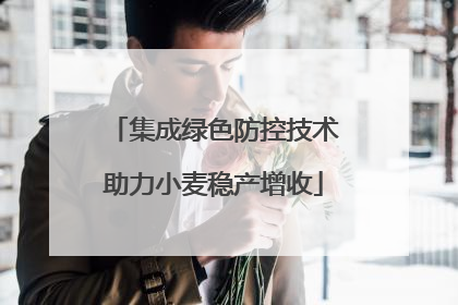 集成绿色防控技术助力小麦稳产增收