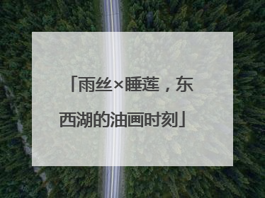 雨丝×睡莲，东西湖的油画时刻