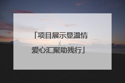 项目展示显温情 爱心汇聚助残行