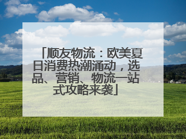 顺友物流：欧美夏日消费热潮涌动，选品、营销、物流一站式攻略来袭