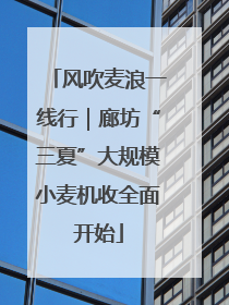 风吹麦浪一线行｜廊坊“三夏”大规模小麦机收全面开始