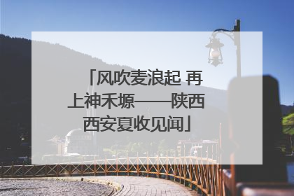 风吹麦浪起 再上神禾塬——陕西西安夏收见闻