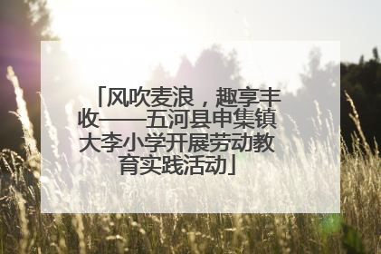 风吹麦浪，趣享丰收——五河县申集镇大李小学开展劳动教育实践活动