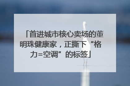首进城市核心卖场的董明珠健康家，正撕下“格力=空调”的标签
