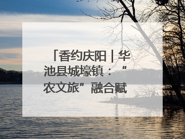 香约庆阳｜华池县城壕镇：“农文旅”融合赋能乡村振兴