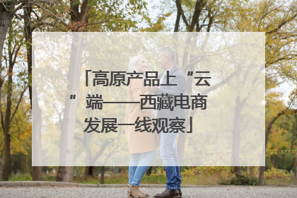 高原产品上“云”端——西藏电商发展一线观察