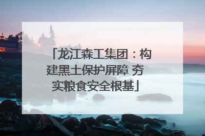 龙江森工集团：构建黑土保护屏障 夯实粮食安全根基