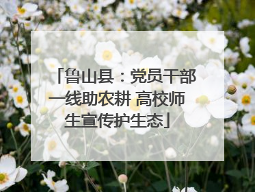 鲁山县：党员干部一线助农耕 高校师生宣传护生态