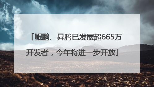 鲲鹏、昇腾已发展超665万开发者，今年将进一步开放