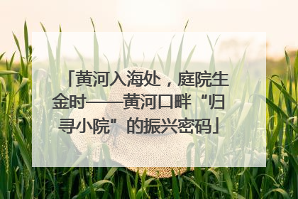 黄河入海处，庭院生金时——黄河口畔“归寻小院”的振兴密码