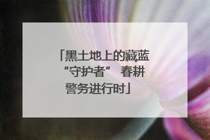 黑土地上的藏蓝“守护者” 春耕警务进行时