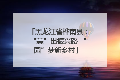 黑龙江省桦南县：“蒜”出振兴路 “园”梦新乡村