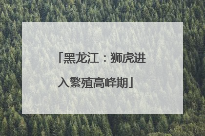 黑龙江：狮虎进入繁殖高峰期