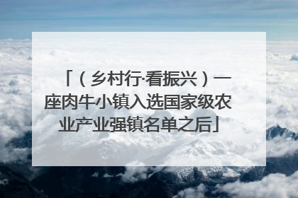 （乡村行·看振兴）一座肉牛小镇入选国家级农业产业强镇名单之后