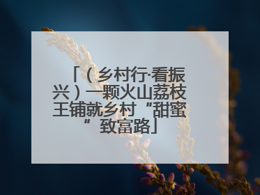 （乡村行·看振兴）一颗火山荔枝王铺就乡村“甜蜜”致富路