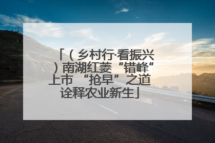 （乡村行·看振兴）南湖红菱“错峰”上市 “抢早”之道诠释农业新生