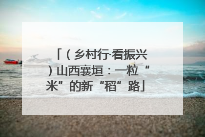（乡村行·看振兴）山西襄垣：一粒“米”的新“稻”路