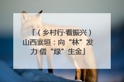 （乡村行·看振兴）山西襄垣：向“林”发力 借“绿”生金