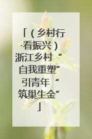 （乡村行·看振兴）浙江乡村“自我重塑” 引青年“筑巢生金”