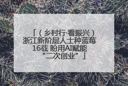 （乡村行·看振兴）浙江新阶层人士种蓝莓16载 盼用AI赋能“二次创业”