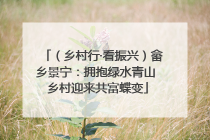 （乡村行·看振兴）畲乡景宁：拥抱绿水青山 乡村迎来共富蝶变