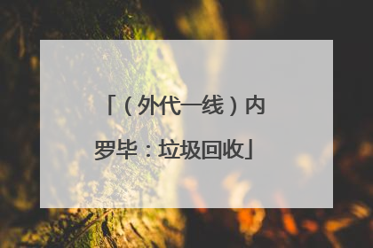 （外代一线）内罗毕：垃圾回收
