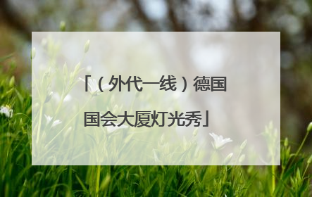 （外代一线）德国国会大厦灯光秀