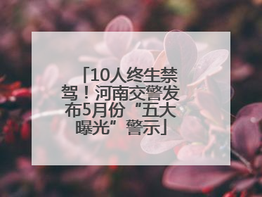 10人终生禁驾！河南交警发布5月份“五大曝光”警示