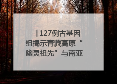 127例古基因组揭示青藏高原“幽灵祖先”与南亚语系族群遗传起源｜封面科考队