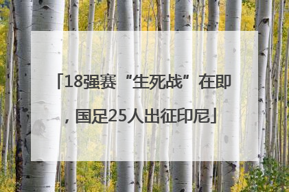 18强赛“生死战”在即，国足25人出征印尼