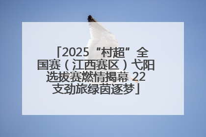 2025“村超”全国赛（江西赛区）弋阳选拔赛燃情揭幕 22支劲旅绿茵逐梦