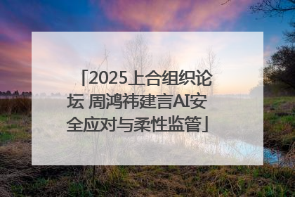 2025上合组织论坛 周鸿祎建言AI安全应对与柔性监管