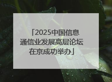 2025中国信息通信业发展高层论坛在京成功举办
