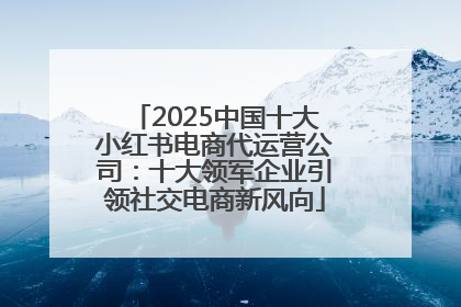 2025中国十大小红书电商代运营公司：十大领军企业引领社交电商新风向