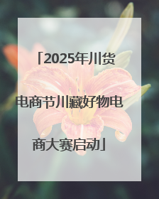 2025年川货电商节川藏好物电商大赛启动