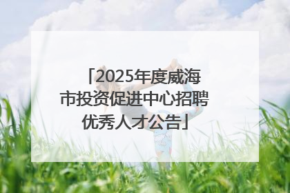 2025年度威海市投资促进中心招聘优秀人才公告